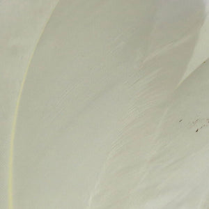 Select Goose Shoulder