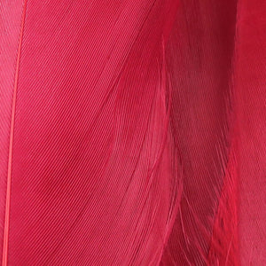 Select Goose Shoulder