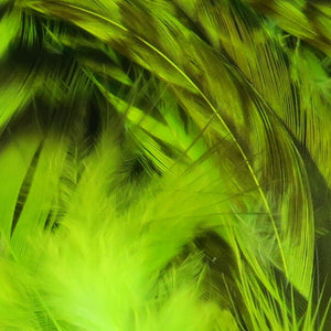 Strung 4-6 inch Grizzly Variant Saddle Hackle