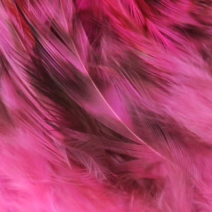 Strung 4-6 inch Grizzly Variant Saddle Hackle