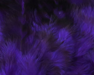 Strung 4-6 inch Grizzly Variant Saddle Hackle