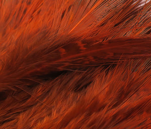 Strung Ringneck Rump Feathers