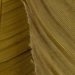 Turkey Biot Quills