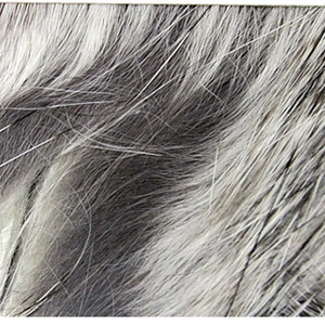 Rabbit Zonker Strips