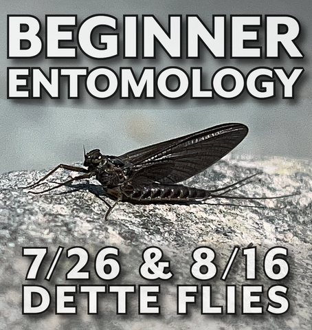 Beginner Fly Fishing Workshop - 8/30