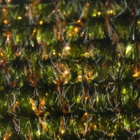 Speckled Chenille