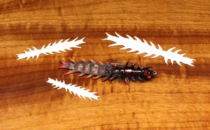 Cohen's Creatures Hellgrammite