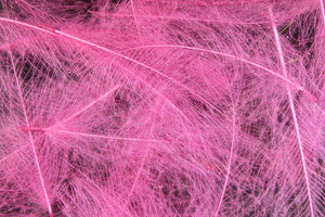 Cul de Canard CDC Plumes