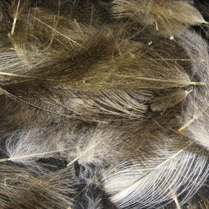 Cul de Canard CDC Plumes