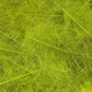 Cul de Canard CDC Plumes