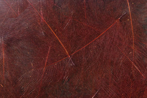 Cul de Canard CDC Plumes