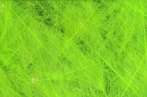 Cul de Canard CDC Plumes