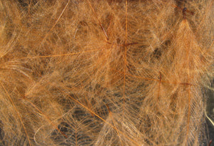 Cul de Canard CDC Plumes