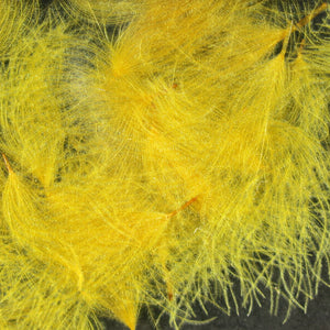 CDC Cul de Canard Oiler Puffs