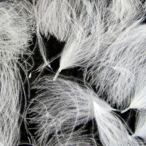 CDC Cul de Canard Oiler Puffs