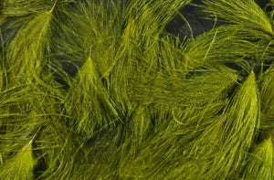 CDC Cul de Canard Oiler Puffs