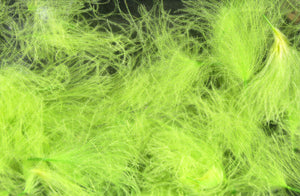 CDC Cul de Canard Oiler Puffs