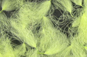 CDC Cul de Canard Oiler Puffs