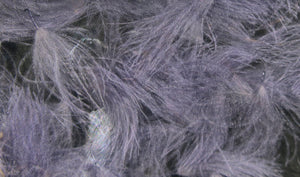 CDC Cul de Canard Oiler Puffs