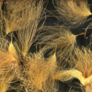 CDC Cul de Canard Oiler Puffs