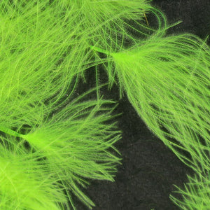 CDC Cul de Canard Oiler Puffs