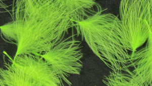 CDC Cul de Canard Oiler Puffs