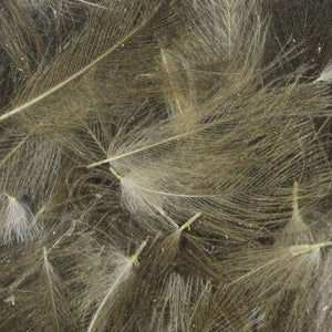 UV2 Select CDC Feathers