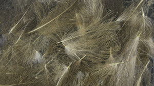 UV2 Select CDC Feathers