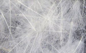 UV2 Select CDC Feathers