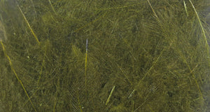 UV2 Select CDC Feathers