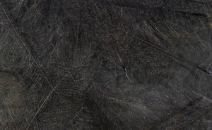 UV2 Select CDC Feathers