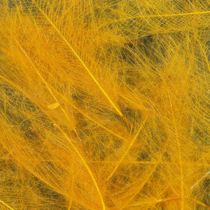 UV2 Select CDC Feathers