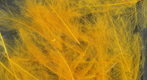 UV2 Select CDC Feathers