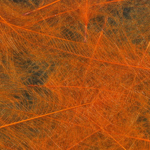 UV2 Select CDC Feathers