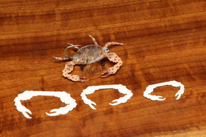 Cohen's Creatures Crab Claws