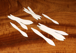 Cohen's Creatures Paddle Tail