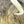 Crosscut Rabbit Strips