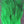 Calf Tail