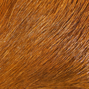 Deer Belly Hair