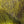 Dyed Deer Body Hair
