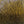 Dyed Deer Body Hair