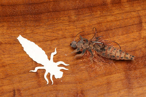 Cohen's Creatures Dragon Fly Nymph Body