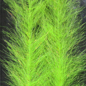 Flash Blend Baitfish Brush