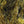 Finesse Body Chenille