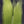 Fluoro Fibre