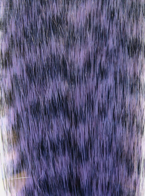 Grizzly Fibre