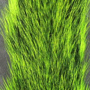 Squirrel Tails