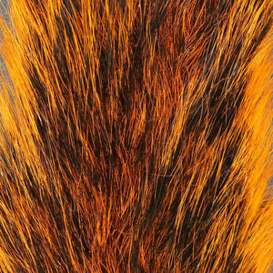 Squirrel Tails