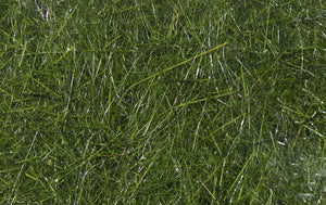 Hare's Ear Plus