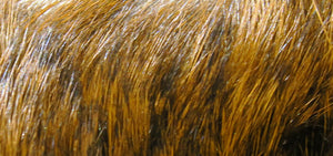 Hare's Mask